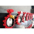 Bare Stem Lugger Type Butterfly Valve